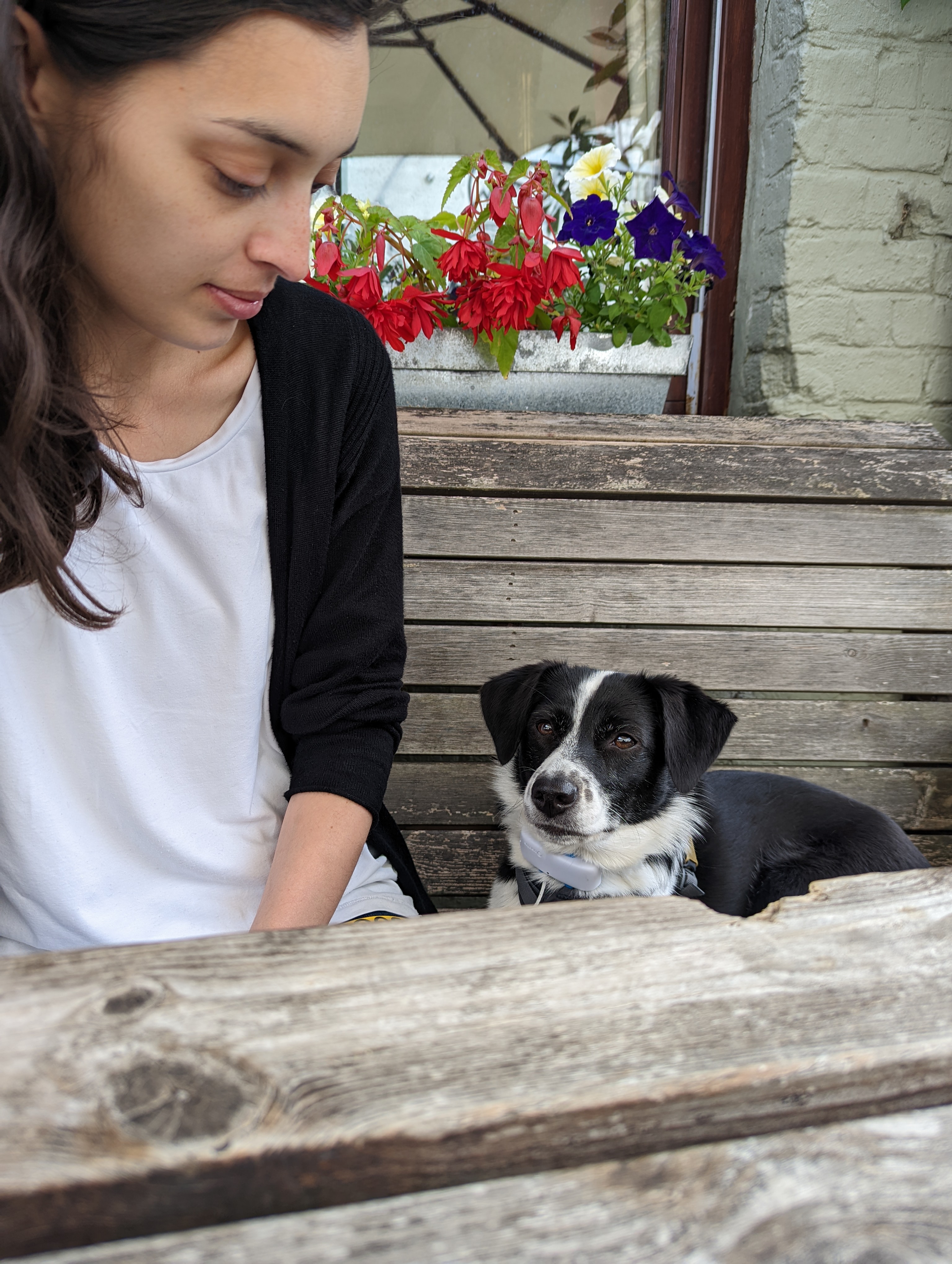 A photo of dog trainer Anna sitting on a bench, smiling as she looks down at a small black and white rescue dog called Walnut on the bench beside her.