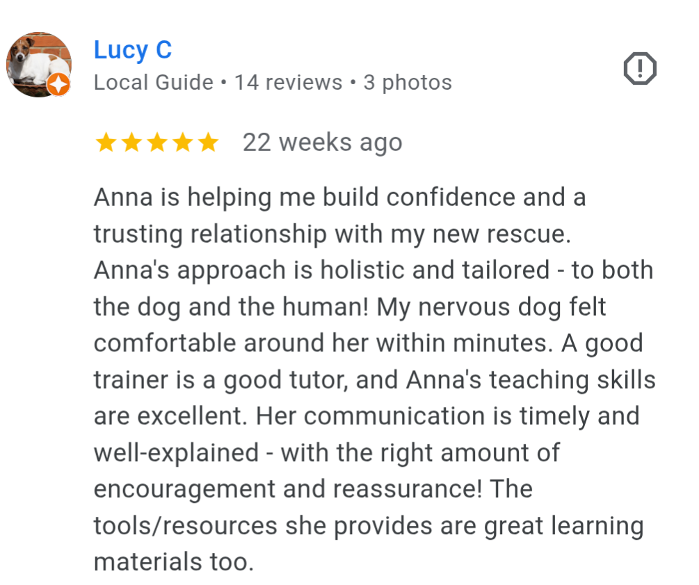 Anna is helping me build confidence and a trusting relationship with my new rescue!