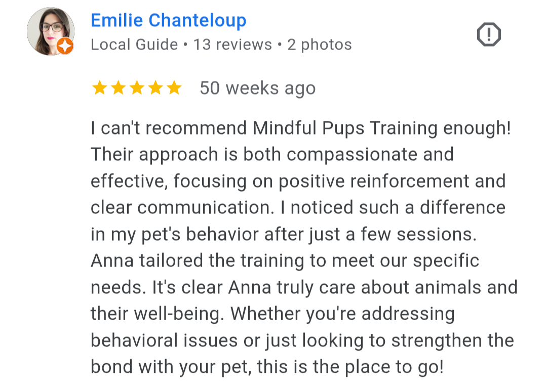 I can't recommend Mindful Pups Training enough!