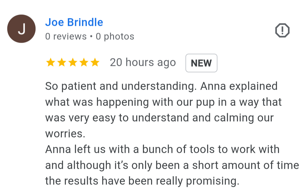 Anna explained what was happening with our pup in a way that was very easy to understand and calming our worries.